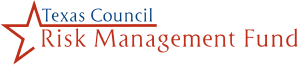 Texas Council Logo